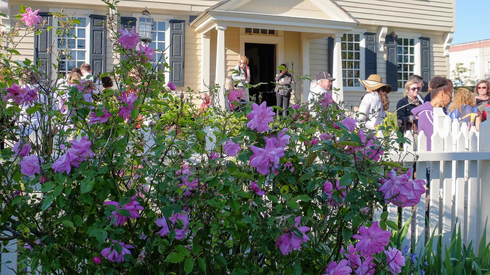 Edenton NC Services and Tours